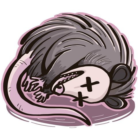 Opossum Sticker Design